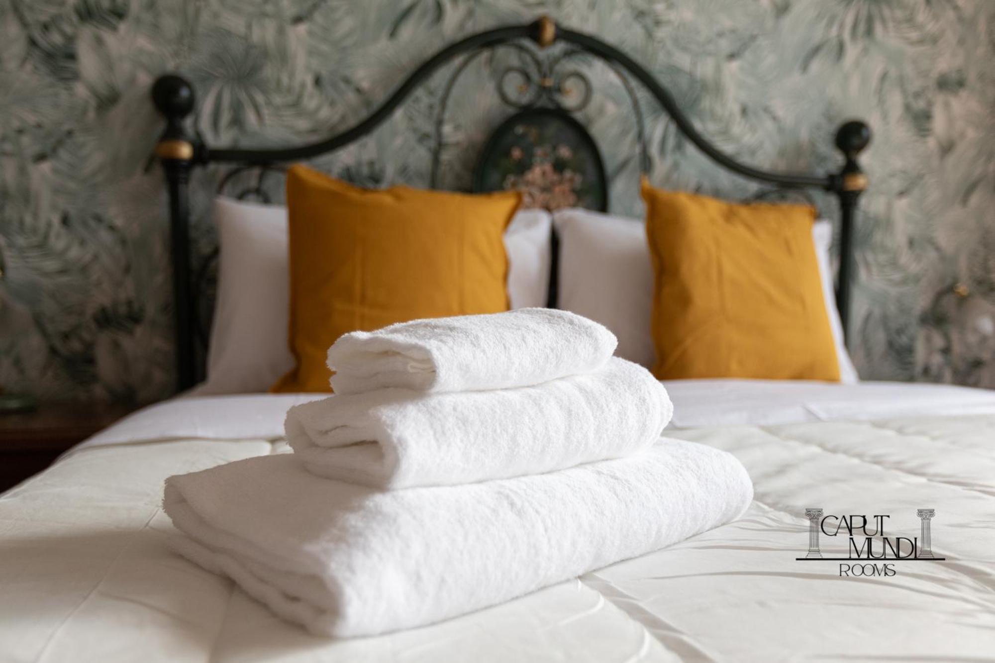 Caput Mundi Rooms - 100Mt To Metro A, Terrace, A-C, 15 Min To Center Rome Luaran gambar